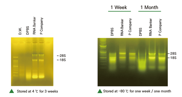 RNA Banker™ RNA preservation solution RNA Banker™ RNA preservation solution