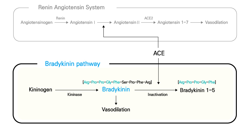 Affi-Max™ Bradykinin Assay Kit Affi-Max™ Bradykinin Assay Kit