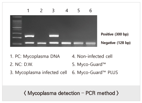 Myco-Guard™ PLUS Mycoplasma Elimination Reagent