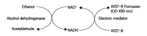 NAD/NADH Assay Kit