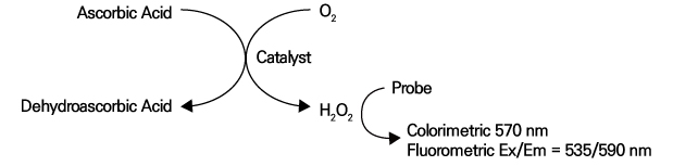 Ascorbic Acid Assay Kit