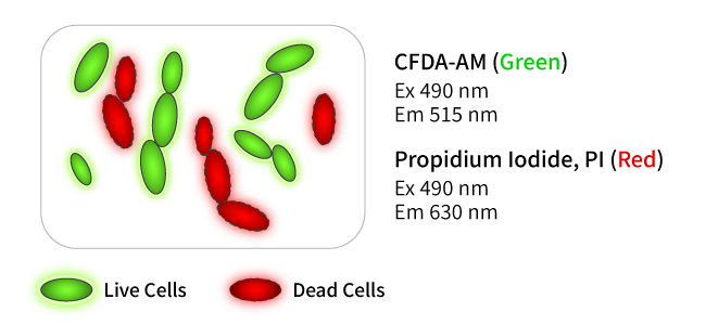 99b47f5fc41a86f6e3031dfdb9d52b92_1747793577_4175.png