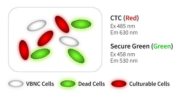 99b47f5fc41a86f6e3031dfdb9d52b92_1747811597_7175.png