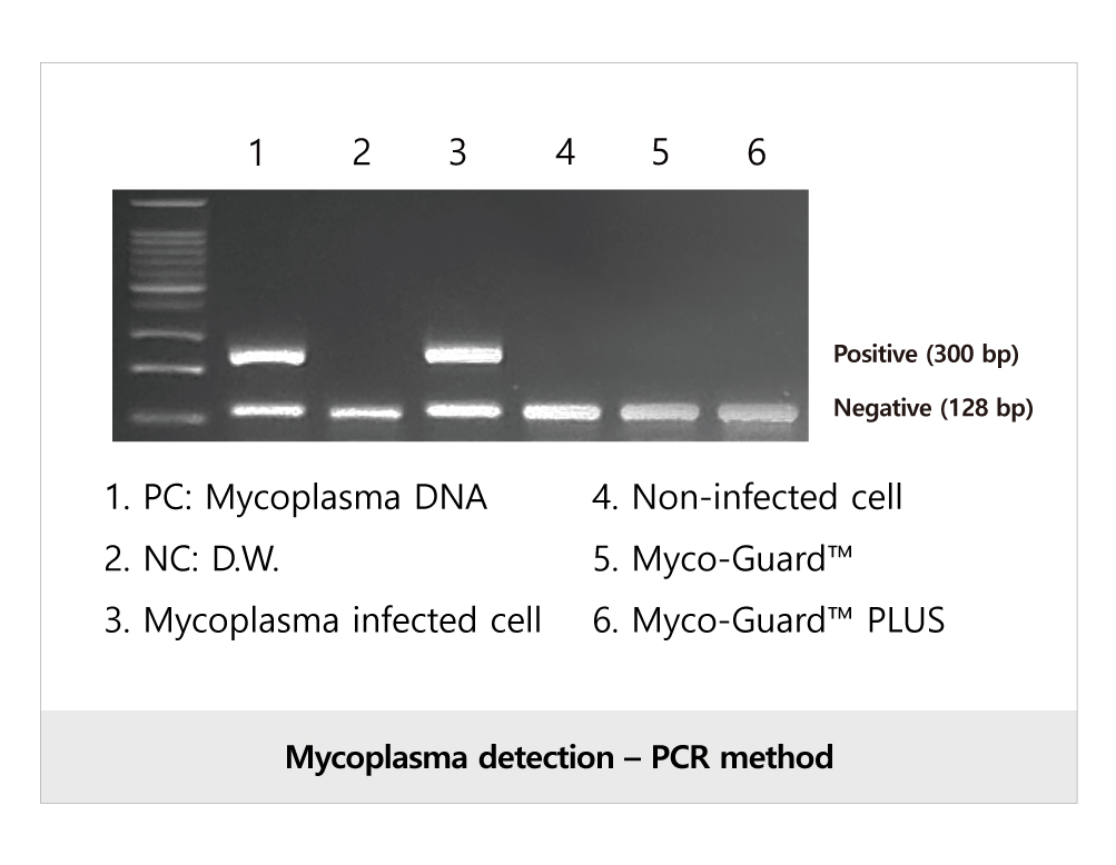 Myco-Guard™ PLUS (SMD022P)