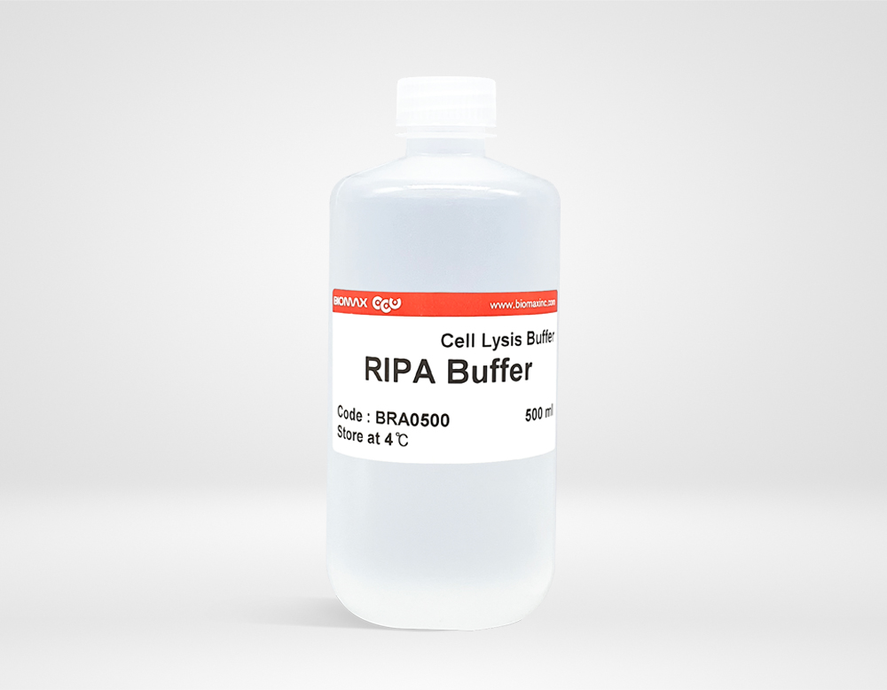 RIPA Buffer (BRA0500)
