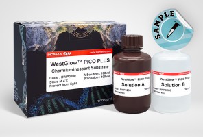 WestGlow™ PICO PLUS (BWP0200)