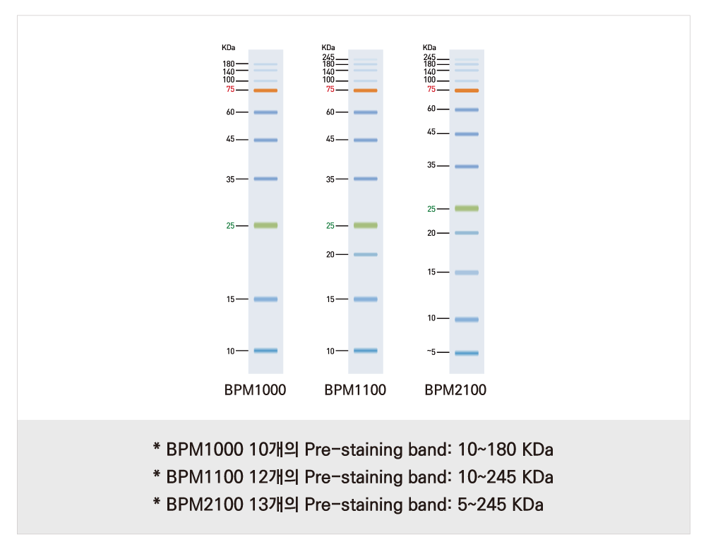 PAGE-Mark™ Regular Range (BPM1100)