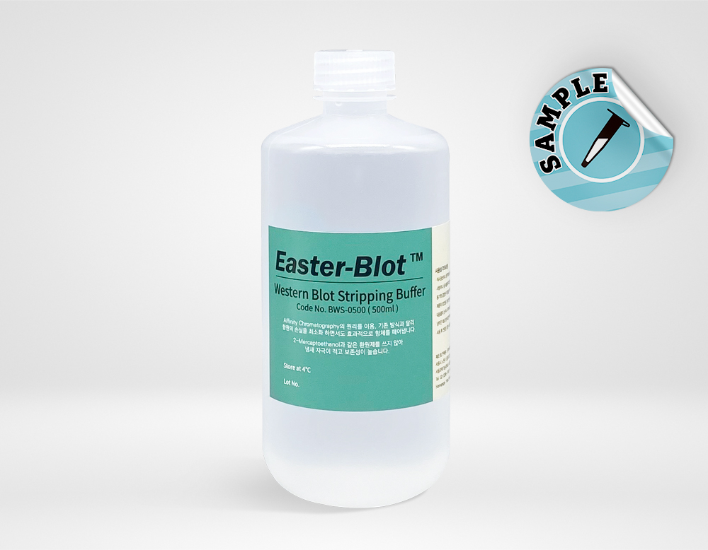 Easter-Blot™ Western Blot Stripping Buffer (BWS-0500)