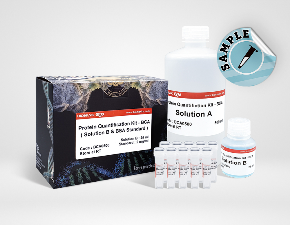 Protein Quantification - BCA (BCA0500)