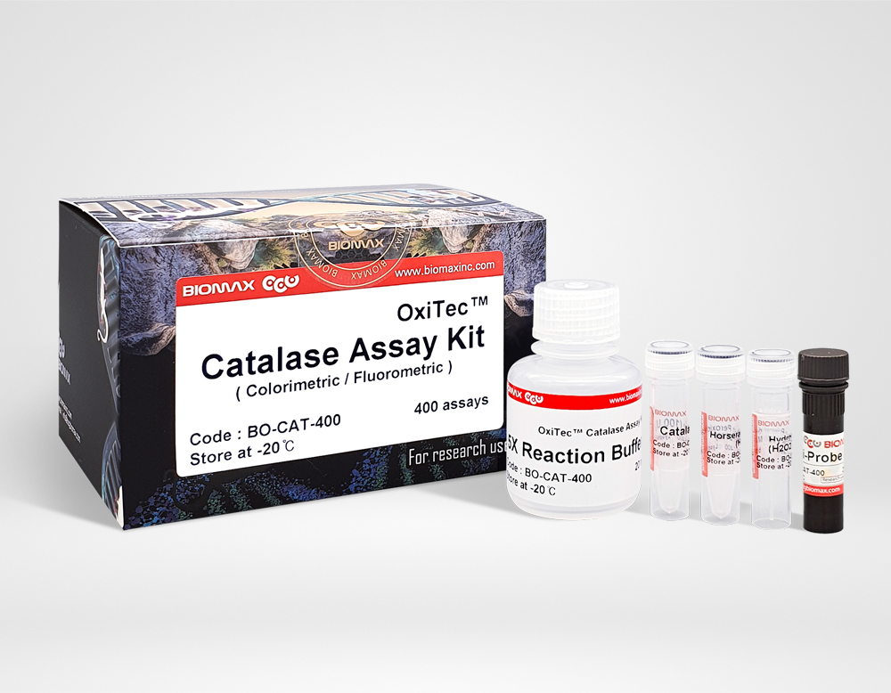 Catalase (BO-CAT-400)