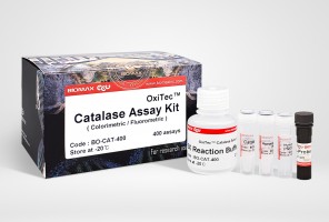 Catalase (BO-CAT-400)
