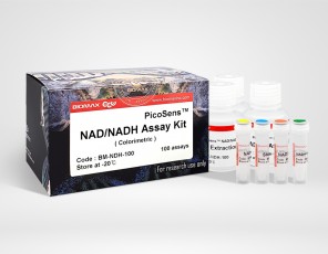 NAD/NADH  (BM-NDH-100)