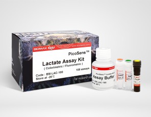 Lactate (BM-LAC-100)