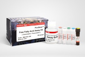 Free Fatty Acid (BM-FFA-100)
