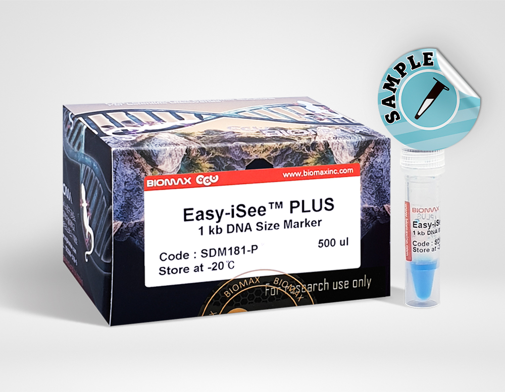 Easy-iSee™ PLUS 1Kb DNA Size Marker (SDM181-P)