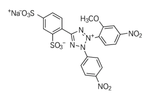 WST-8 (2-(2-Methoxy-4-nitrophenyl)-3-(4-nitrophenyl)-5-(2,4-disulfophenyl)-2H-tetrazolium sodium salt)