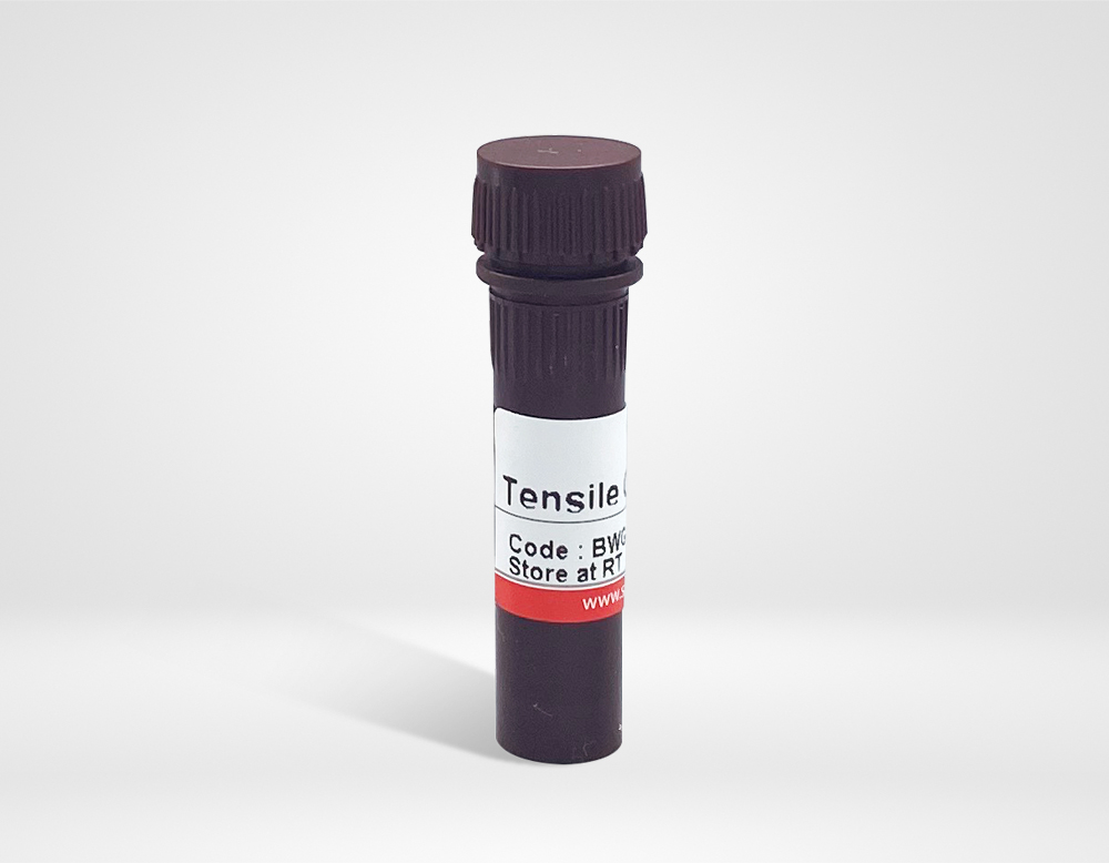 Smart-Buffer™ Tensile Gel Preparing Solution (BWG-0001)