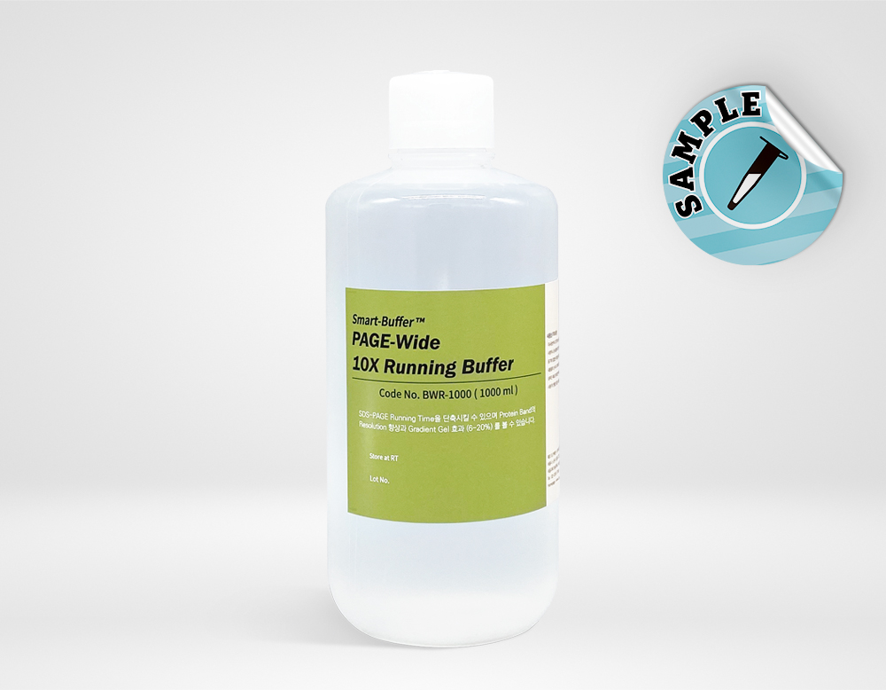 Smart-Buffer™ PAGE-Wide 10X Running Buffer (BWR-1000)
