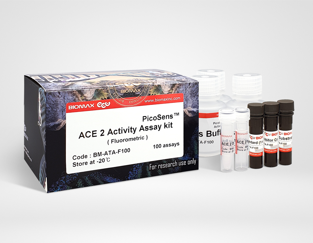 ACE2 Activity (BM-ATA-F100)