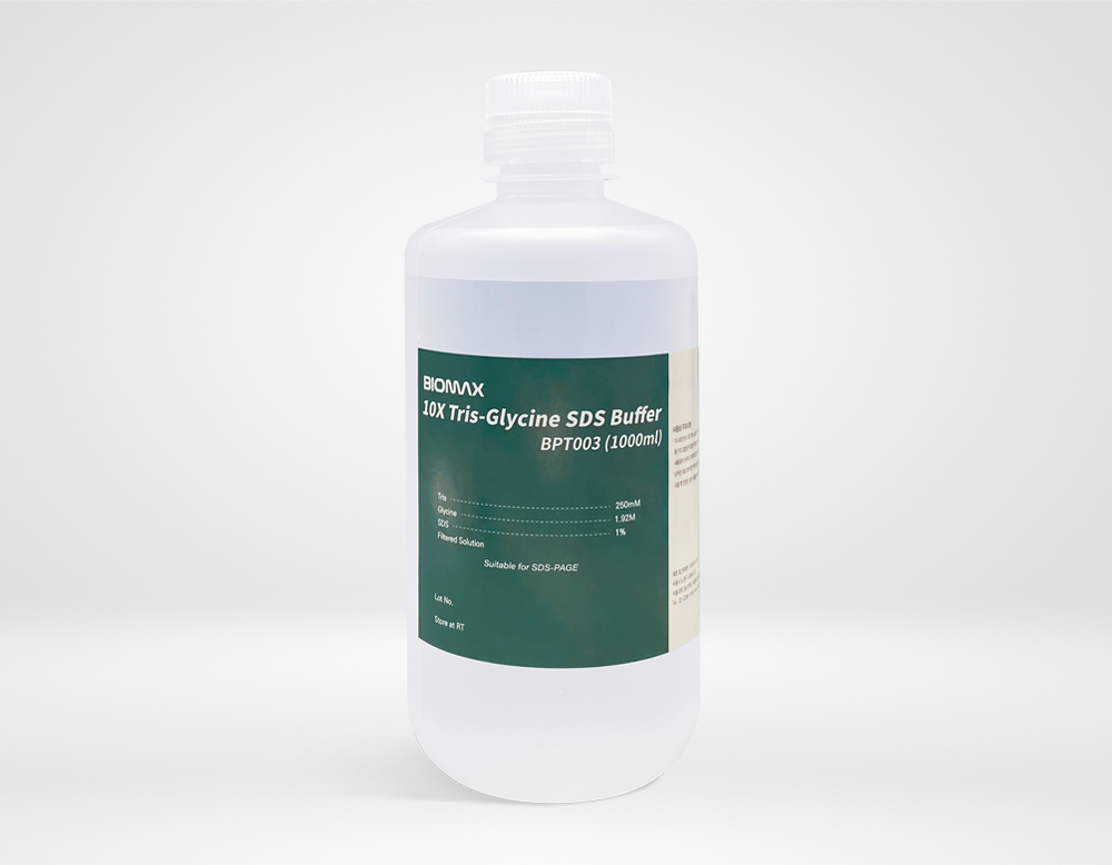 10X Tris-Glycine SDS Buffer (BPT003)