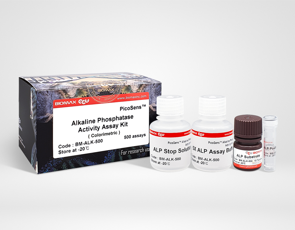 Alkaline Phosphatase Activity (BM-ALK-500)