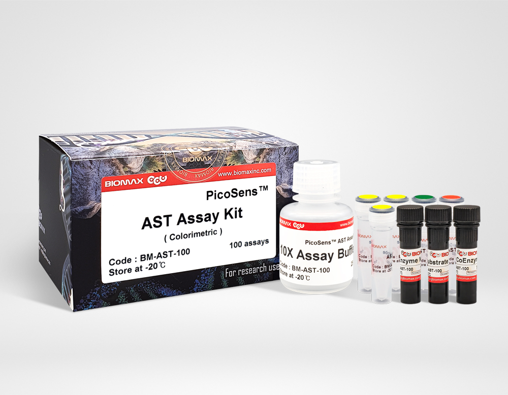 AST Assay Kit (BM-AST-100)