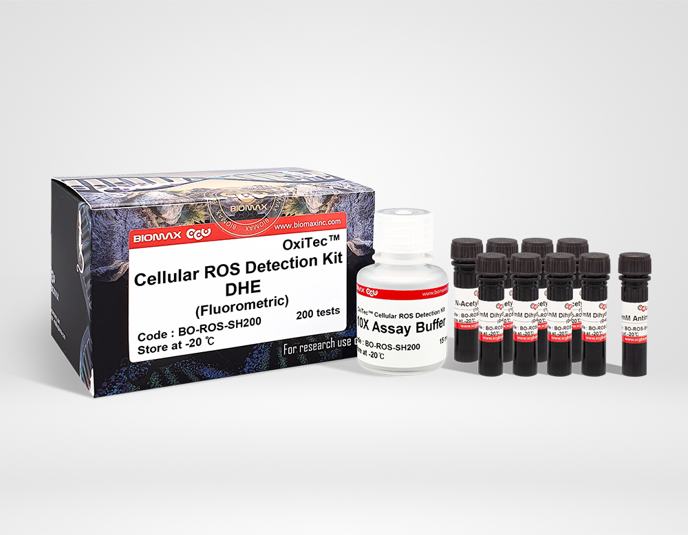 Cellular ROS Detection Kit-DHE (BO-ROS-SH200)