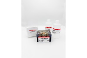 Comet Assay Kit (BO-COM-75)