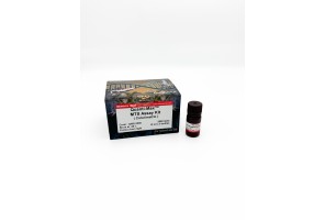 Quanti-Max™ MTS Assay Kit (QMS-1000)